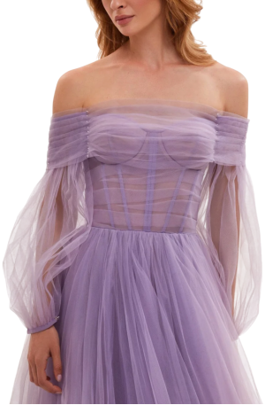 Bronte Sheer Evening Gown