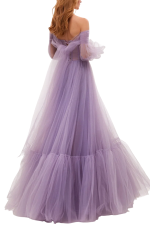 Bronte Sheer Evening Gown